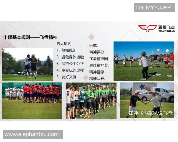 飞盘战术与团队协作：杭州飞盘队运营体系的成功之道