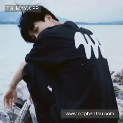 怀献义